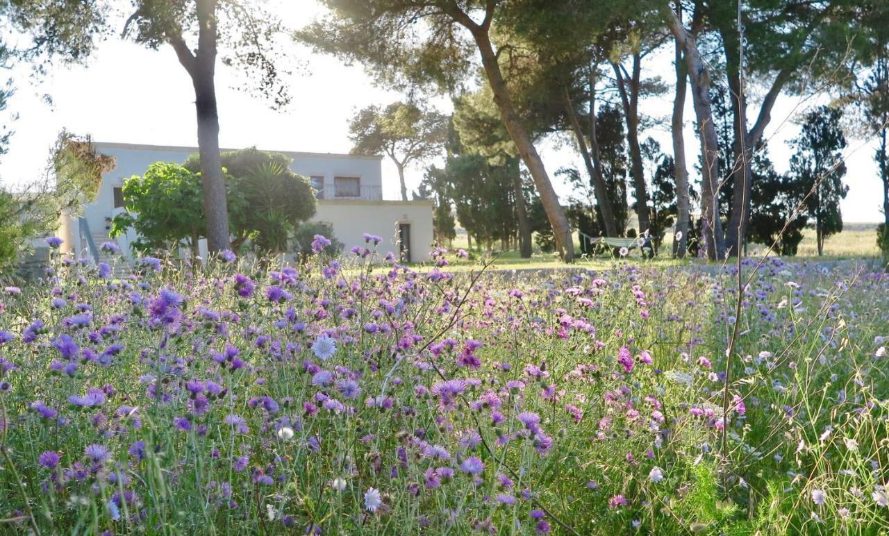 La Dimora Di Ulisse Aparthotel Santa Cesarea Terme Exterior photo